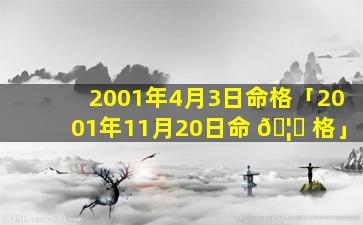 2001年4月3日命格「2001年11月20日命 🦍 格」